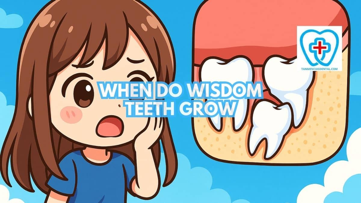 When Do Wisdom Teeth Grow