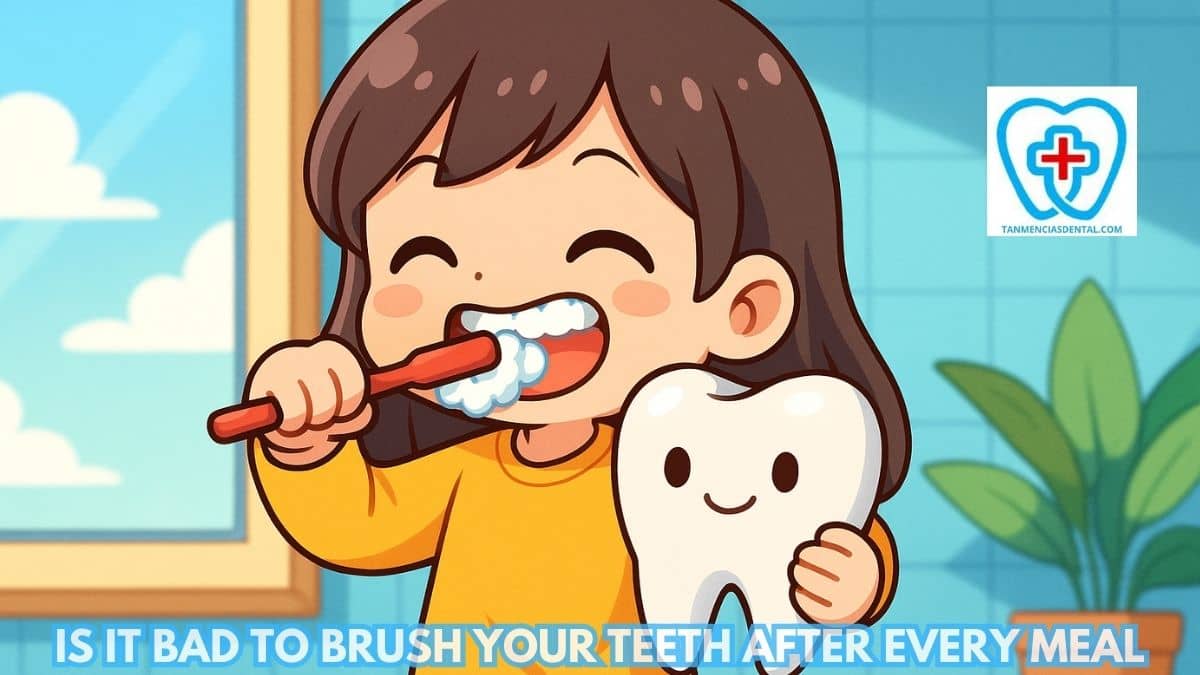 Is It Bad To Brush Your Teeth After Every Meal